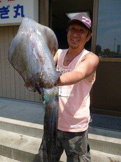 湯浅の磯でのヤエン　胴長40ｃｍ級アオリイカ