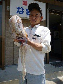 2kgクラスが続々　湯浅ヤエン釣果