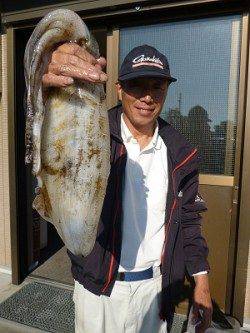 【24日】湯浅アオリイカ情報　ヤエンで釣れまくり！