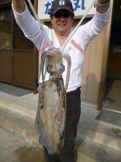 アオリイカ2キロオーバーをV字持ち！湯浅でウキ釣り