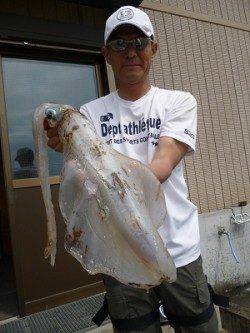 湯浅の磯　ヤエン釣法で2キロUPのアオリイカ