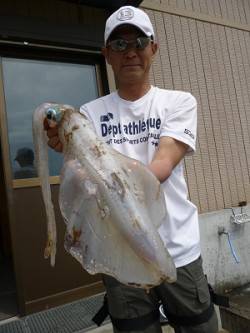 湯浅の磯　ヤエン釣法で2キロUPのアオリイ…