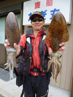 湯浅の磯　ウキ・エギング・ヤエンでのアオリイカ釣果