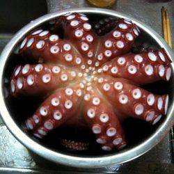 兵庫突堤 オクトパッシングでマダコゲット☆