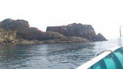 貝塚　お昼からの釣行で豆アジ69匹　イワシ20匹と小サバ　後半はアジ入れ食いに