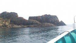 和歌山由良の渡船で蟻島の夜釣りでイサキの釣果☆