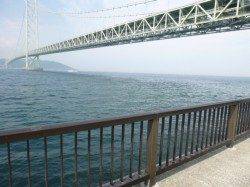 【豆アジ好調維持!】アジュール舞子RT