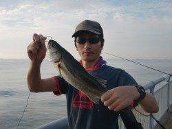 【まずまずです】南芦屋浜リアルタイム