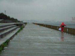 【雨でもタコ釣れてます!】南芦屋浜
