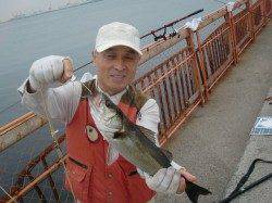 【色々釣れてます】南芦屋浜リアルタイム