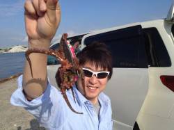 ルアーでタコ&サビキでサバ・アジ　…