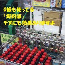 【芦屋店より発信】神戸空港のチヌ情報