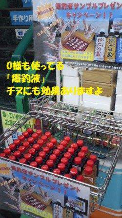 【芦屋店より発信】神戸空港のチヌ情報