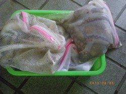 姫路市立遊漁センターでも2kg以上のタコ釣れています