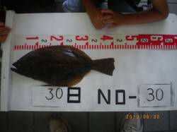 姫路市立遊漁センター　サビキで豆アジ＆ヒラ…