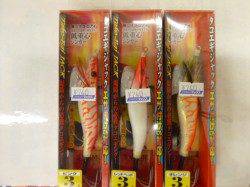 朝の小野浜で大タコ！