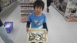 芳養堤防　サビキで豆アジのキッズ釣果
