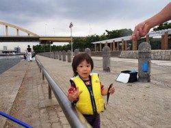 豆アジ♪いい感じ♪11日夕方泉大津RT