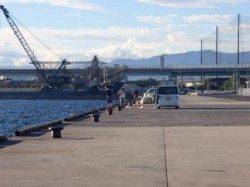 強風の中でサビキ泉大津店12日朝RT