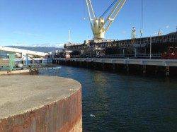 泉佐野食コン　りあるたいむ