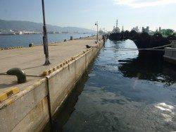 北公園ＲＴ　アジ、イワシ、ハネ