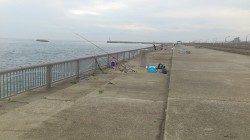 林崎漁港　車横付けで投げ釣り☆　コトヒキ27cmがヒット