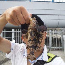 大蔵海岸、岸際をトゥィッチするとデイメバルがヒット！