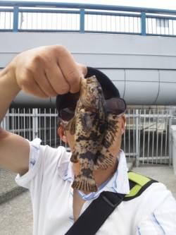 大蔵海岸、岸際をトゥィッチするとデイメバル…