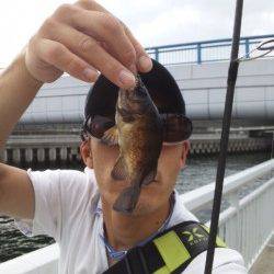 大蔵海岸でガシリングの釣果
