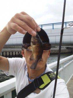 大蔵海岸でガシリングの釣果