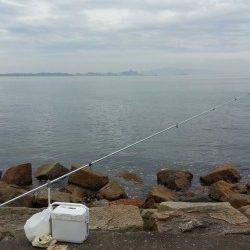 中川、揖保川　5時間の投げ釣りでキス〜21cm21匹　使用フックはキステック！