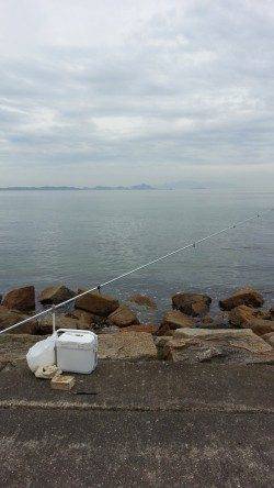 中川、揖保川　5時間の投げ釣りでキス〜21cm21匹　使用フックはキステック！