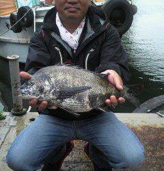 落とし込みでチヌ　岸和田一文字