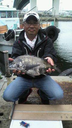 落とし込みでチヌ　岸和田一文字