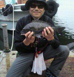 落とし込みでチヌ　岸和田一文字