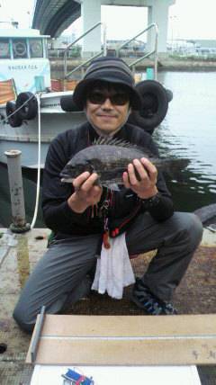 落とし込みでチヌ　岸和田一文字