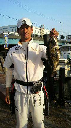 旧一文字赤灯で落とし込み、チヌの釣果☆