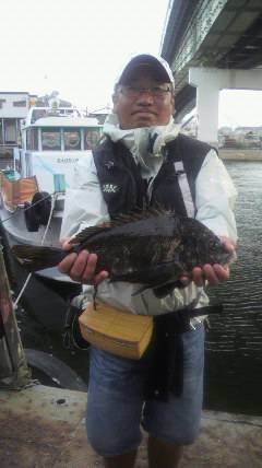 沖一文字スリット・中波止で落とし込みの釣果…