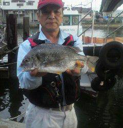 沖一文字スリット・中波止で落とし込みの釣果情報★