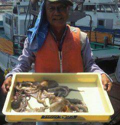 岸和田でもタコよく釣れていますよ〜♪