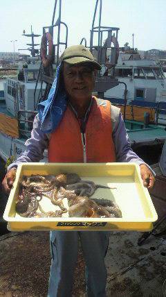 岸和田でもタコよく釣れていますよ〜♪