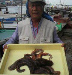 沖一文字で1.8kgのタコがあがっています！