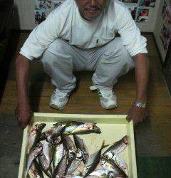 沖一文字北 サビキで良型アジ釣れてます！