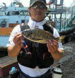 沖一文字スリットで落とし込み、チヌの釣果☆