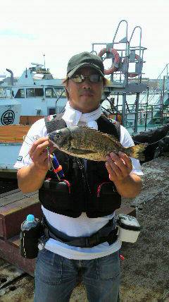 沖一文字スリットで落とし込み、チヌの釣果☆…