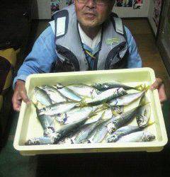 岸和田一文字　中アジは夕マズメが狙い時か