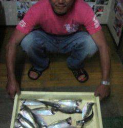 岸和田一文字　中アジは夕マズメが狙い時か