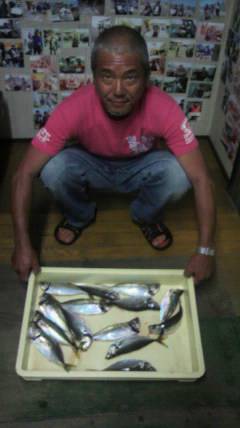 岸和田一文字　中アジは夕マズメが狙い時か