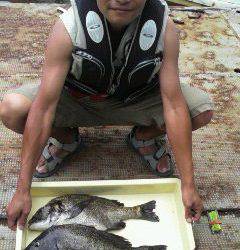 一文字での落とし込み釣果　エサはイガイです