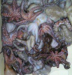 岸和田一文字　タコ〜300g1人で29ハイ